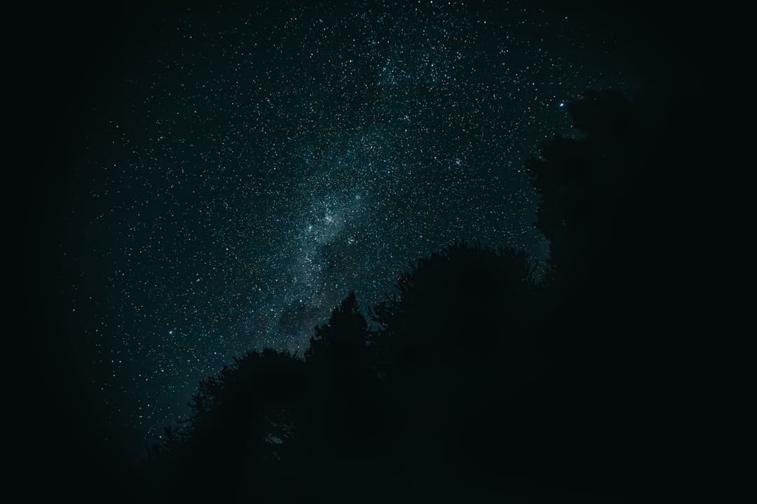 音乐点亮星城文旅 2025南郊公园音乐嘉年华收官